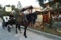 Paradosiako Weddings Alikes Zante Greece